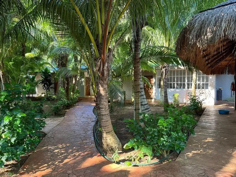 Foto 5