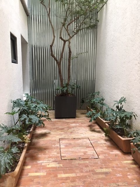 Foto 17