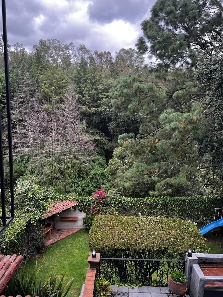 Foto 31