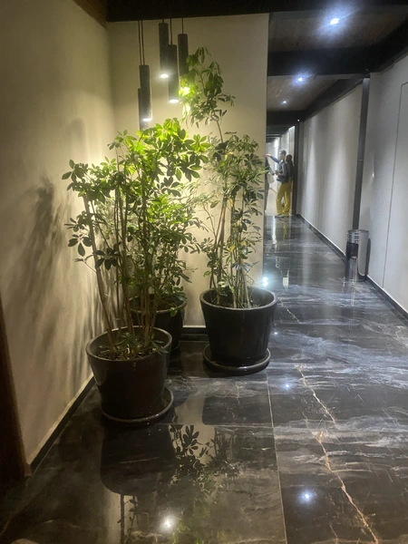 Foto 16