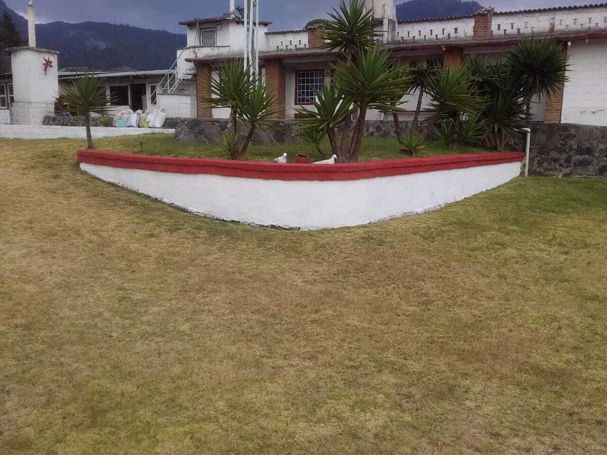 Foto 6