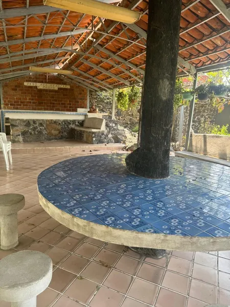 Foto 7