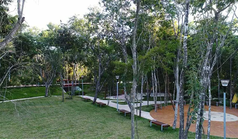Foto 7