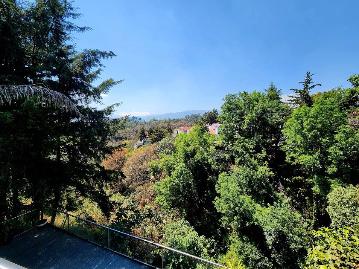 Foto 6