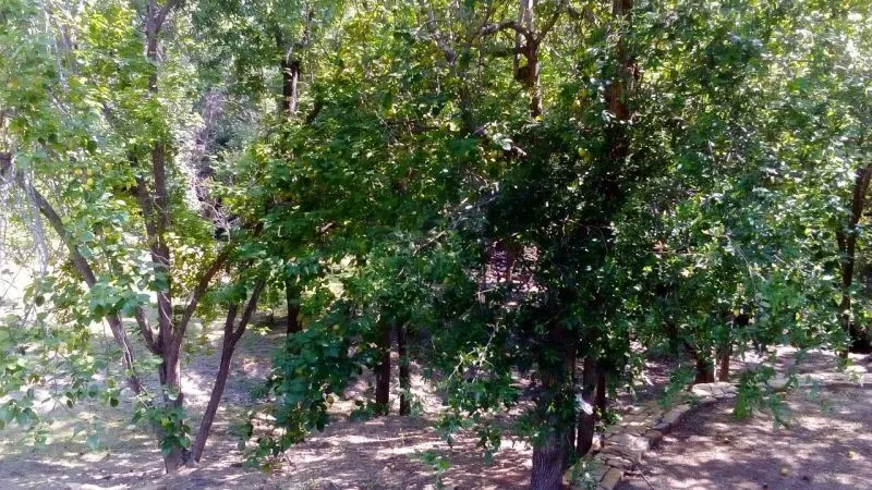Foto 9