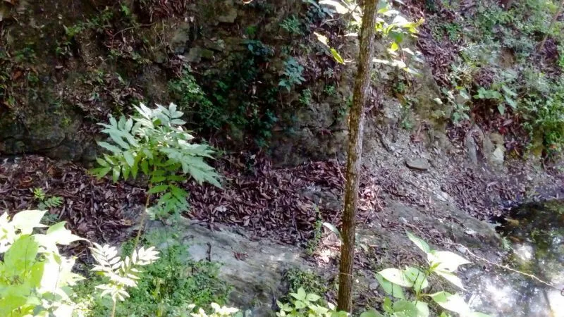 Foto 10