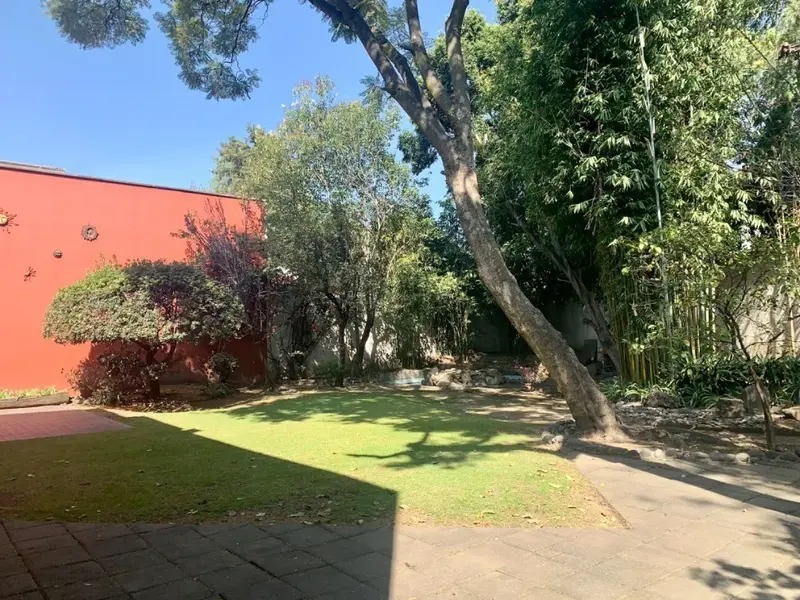 Foto 19