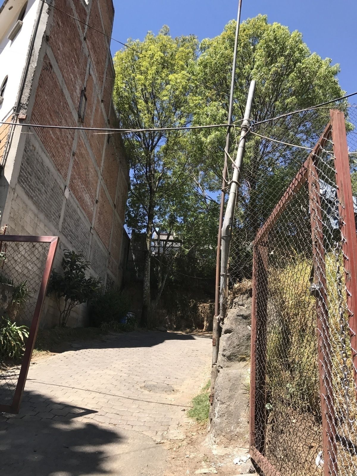 Foto 6