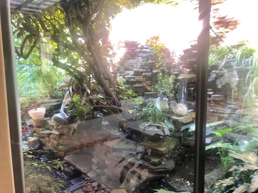 Foto 19