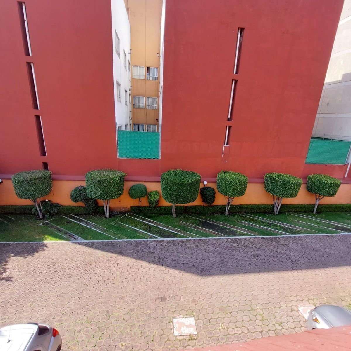 Foto 7