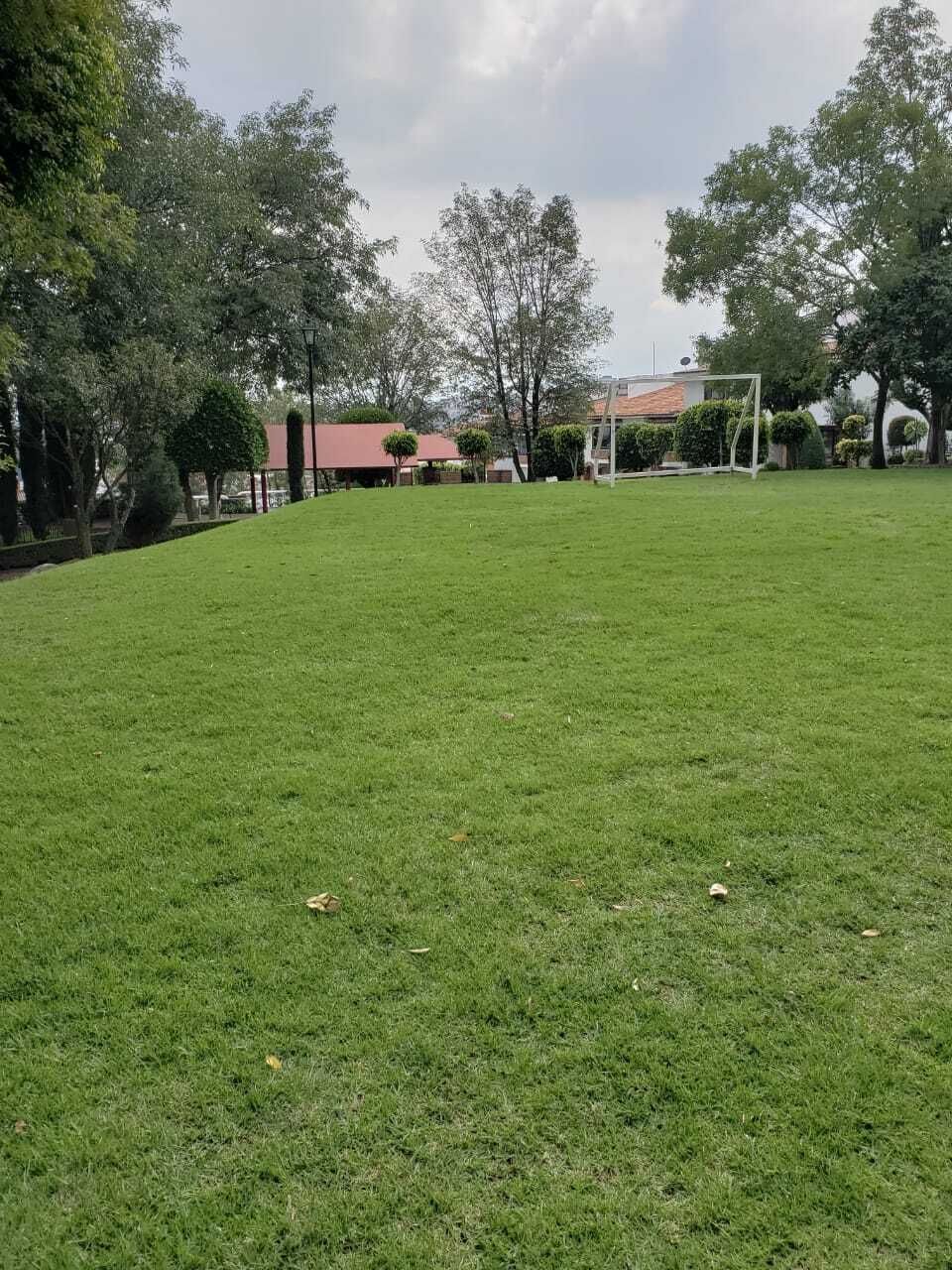 Foto 20