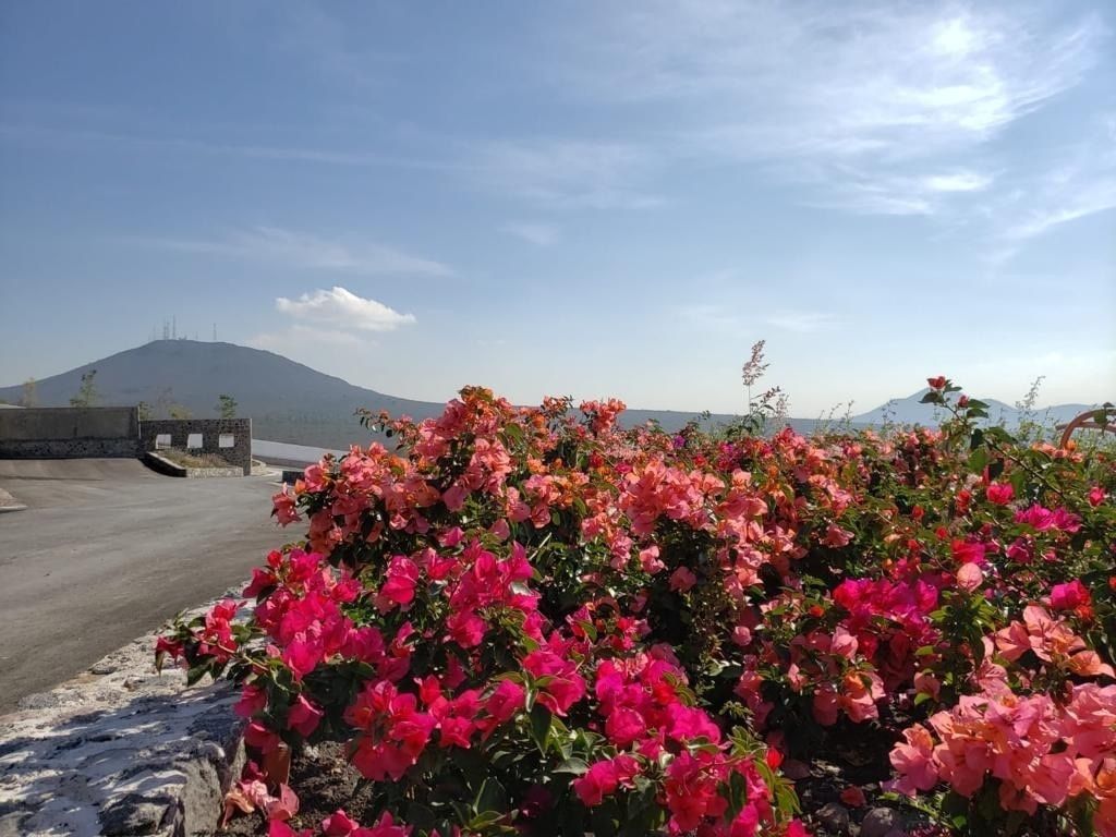 Lote en venta · Vista Real y Country Club, Corregidora, Querétaro