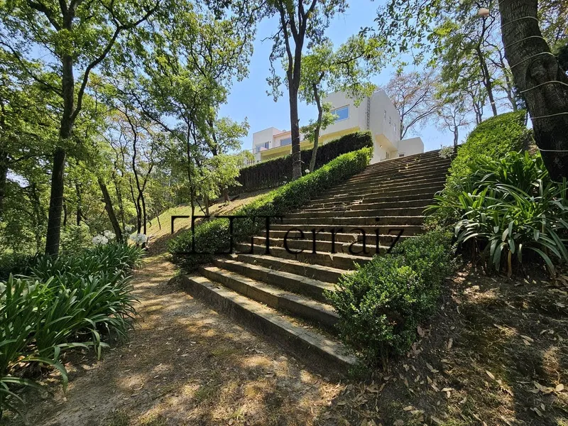 Foto 19