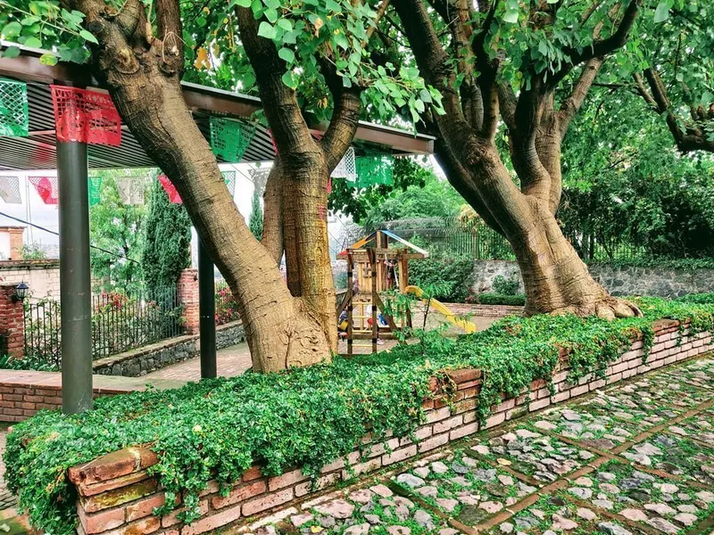Foto 5