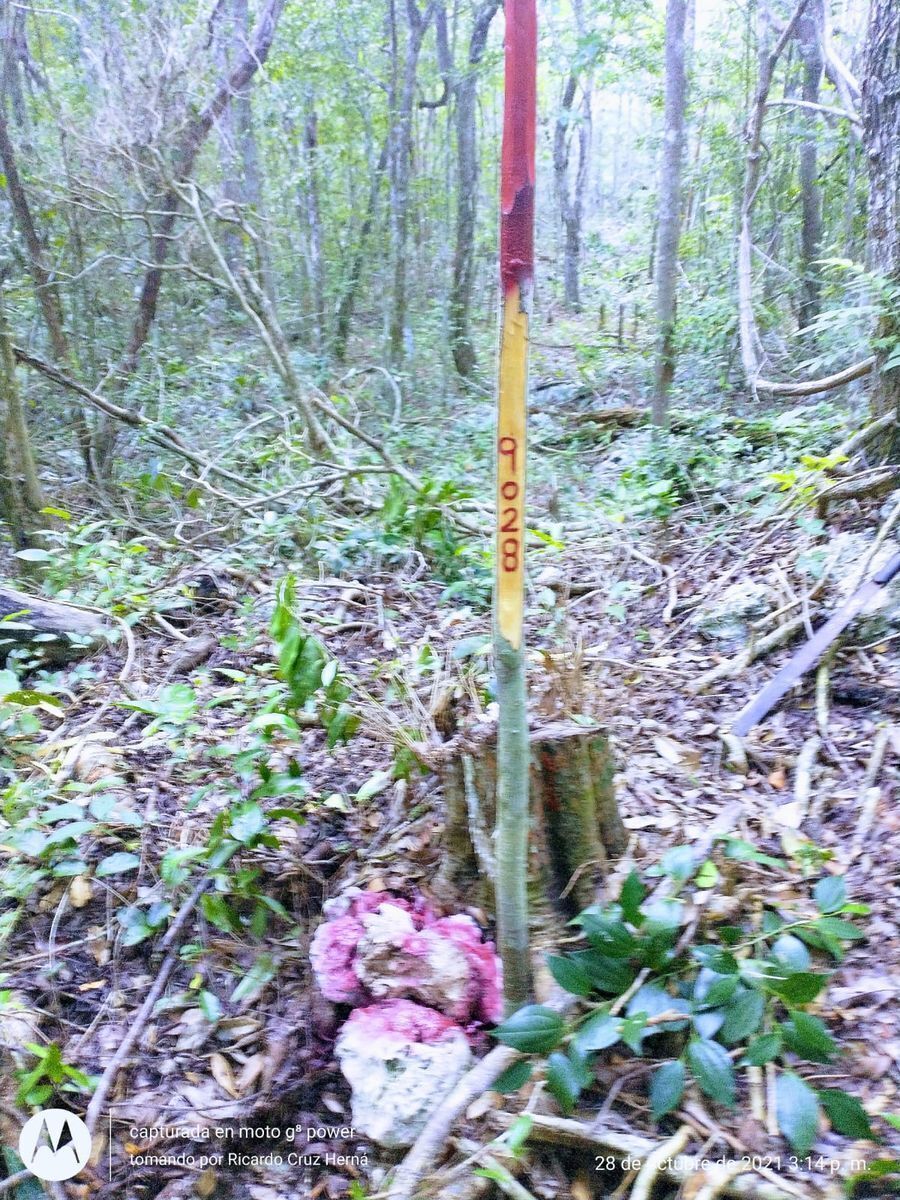 Foto 9
