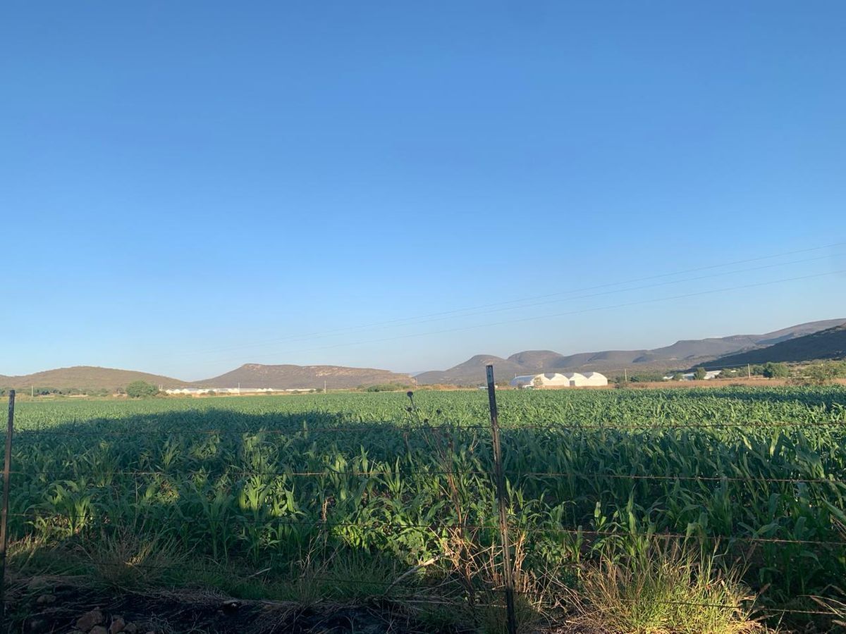 Lote en venta · El Sáuz, Tequisquiapan, Querétaro