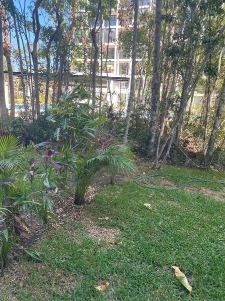 Foto 11
