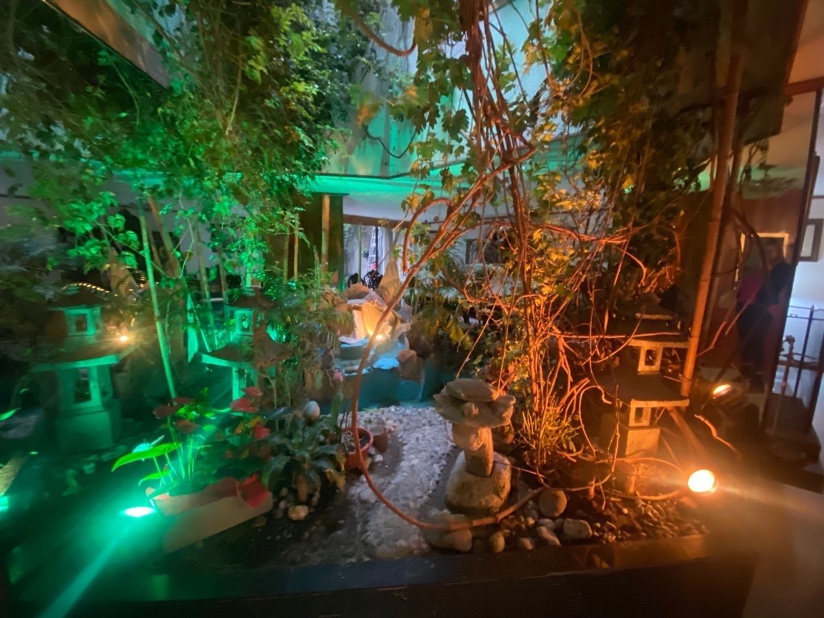 Foto 5