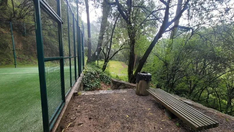 Foto 12