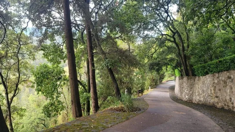 Foto 23