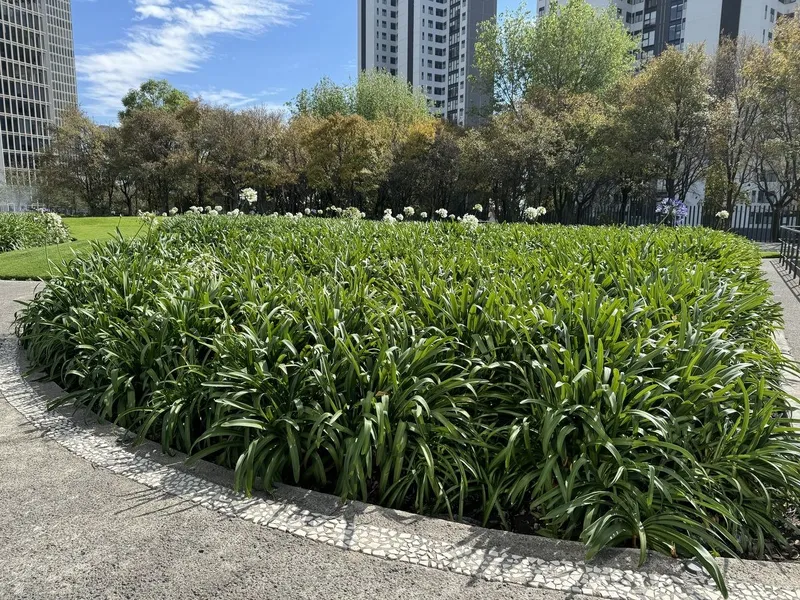 Foto 23
