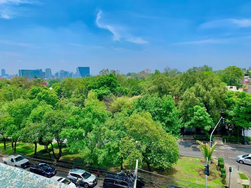 Comercio en renta · Lomas de Chapultepec I Sección, Lomas de Chapultepec, Chapultepec, Miguel Hidalgo, Ciudad de México