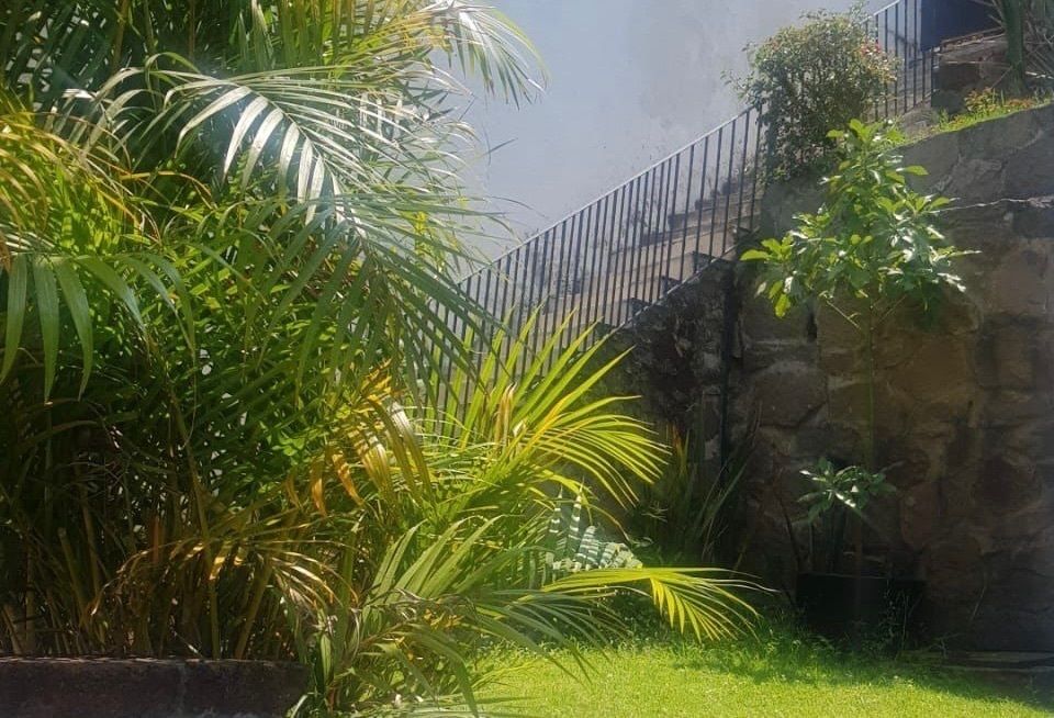Foto 6