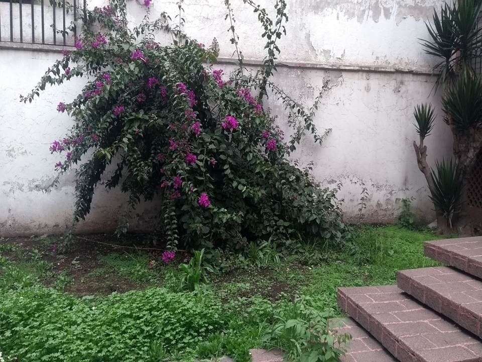 Foto 42