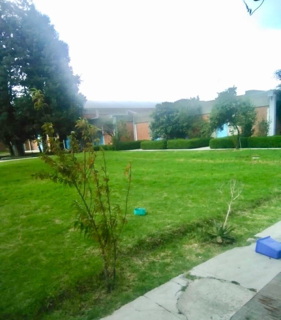 Foto 6