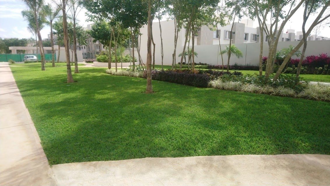 Foto 7