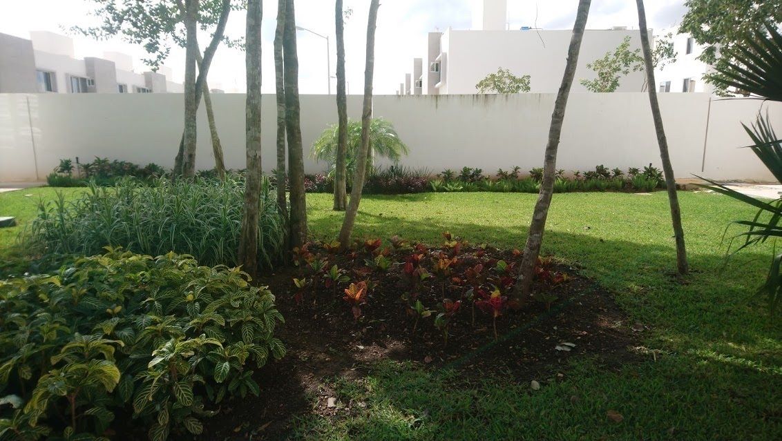 Foto 13