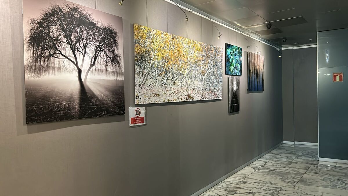 Foto 3