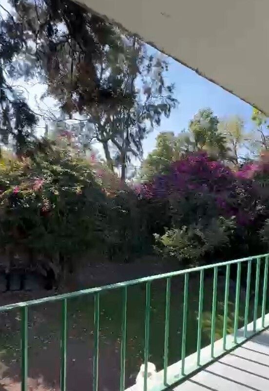 Foto 29