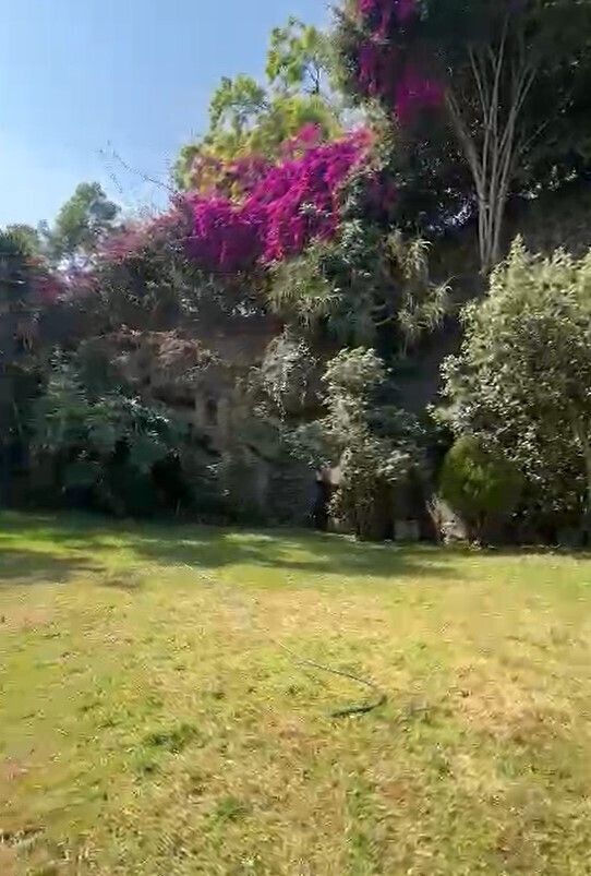 Foto 22