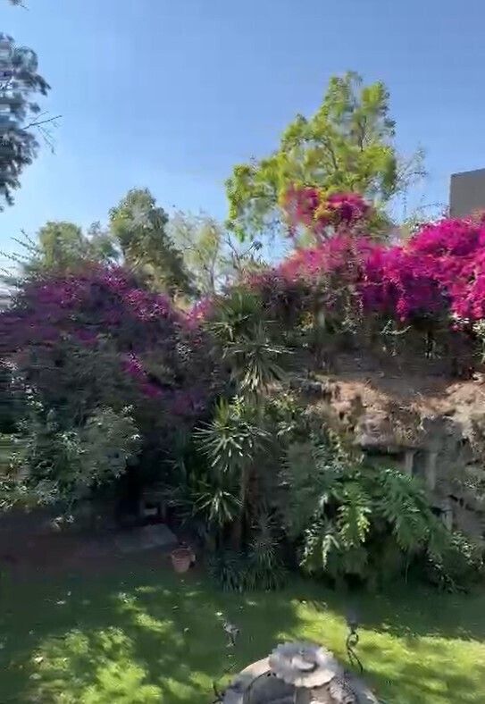 Foto 33