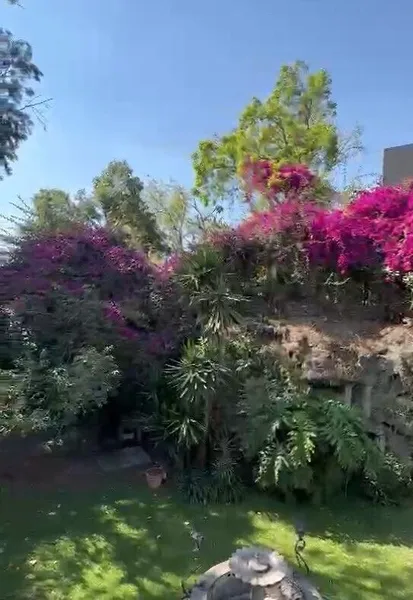 Foto 33