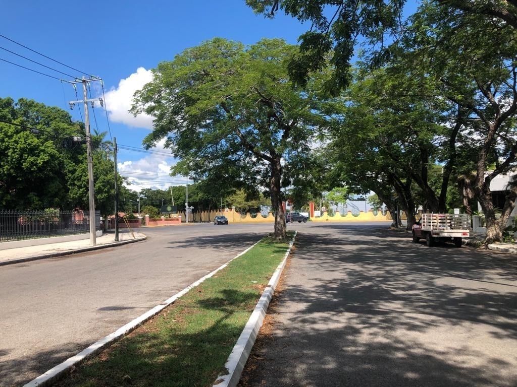 Foto 41
