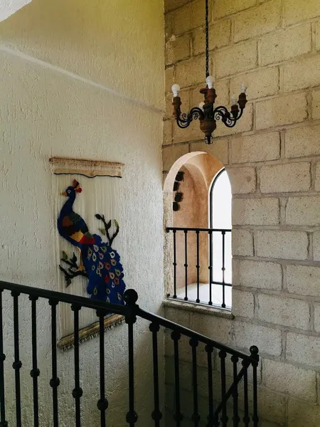 Foto 15