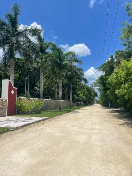 Lote en renta · San Diego Cutz, Conkal, Yucatán