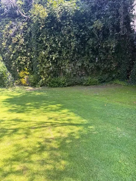 Foto 22