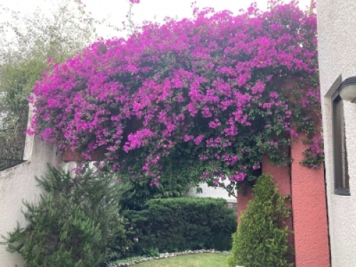 Foto 8