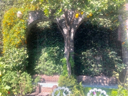 Foto 13