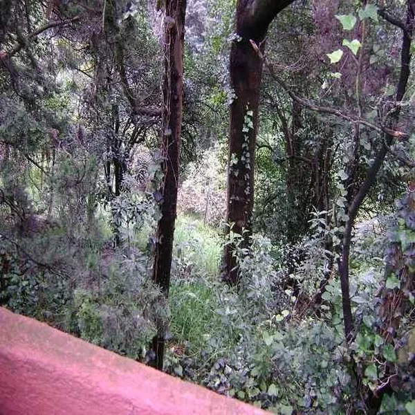 Foto 8