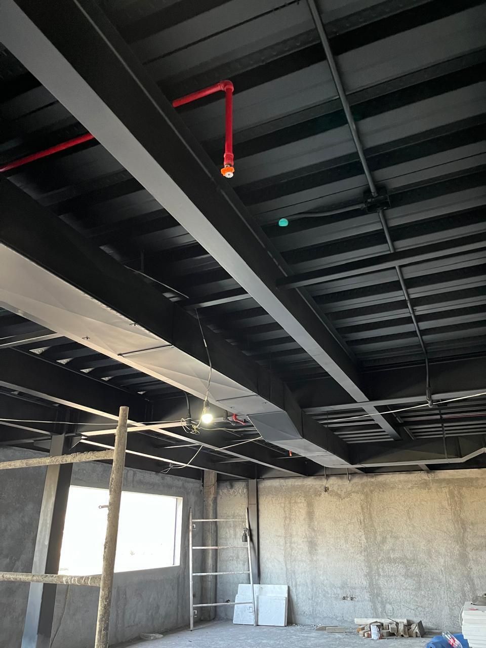 Foto 10