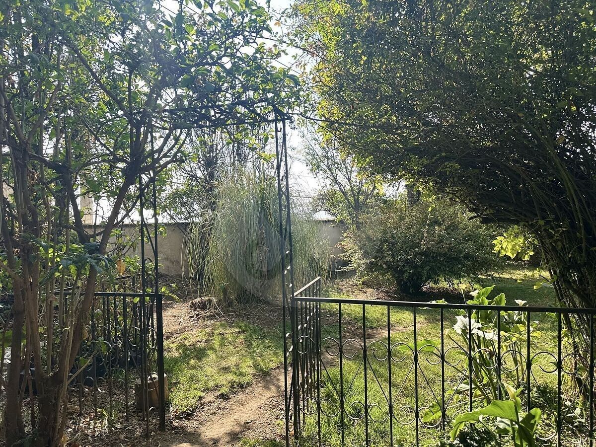 Foto 39