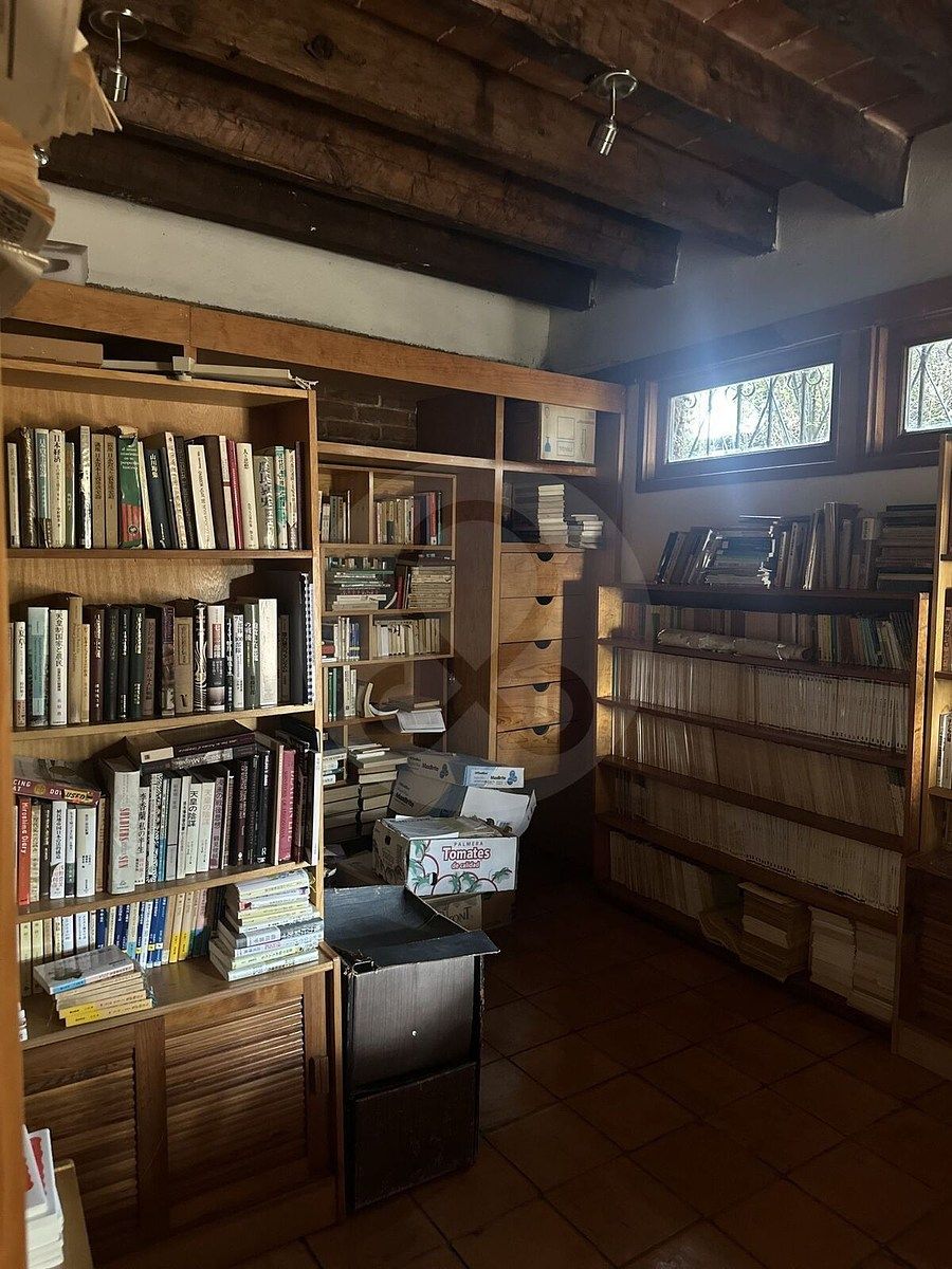 Foto 19