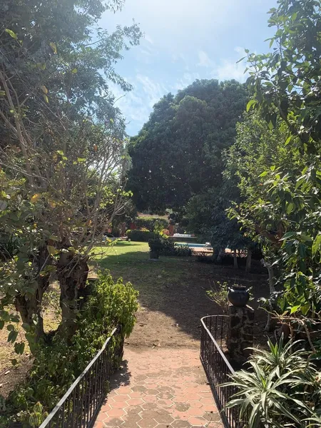 Foto 10