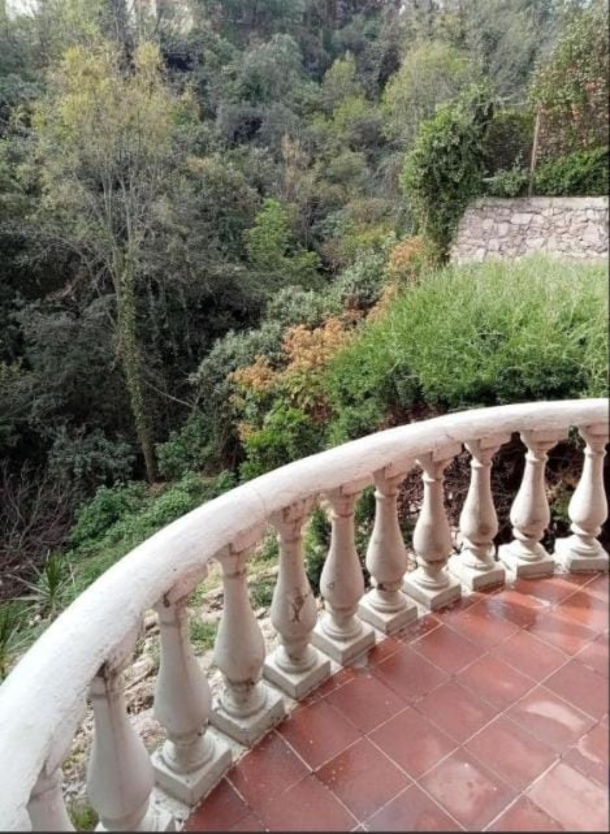 Foto 16