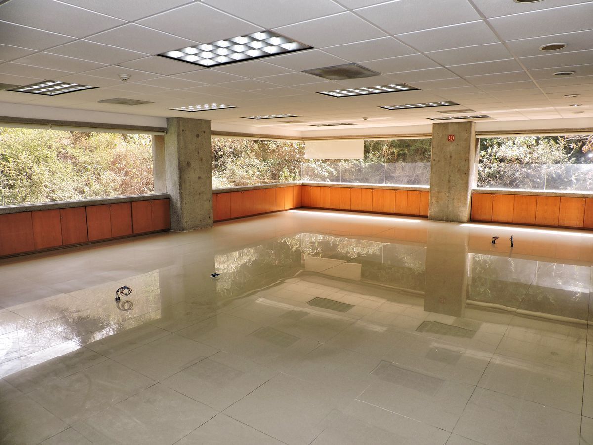 Oficina en renta · Bosques de las Lomas, Cuajimalpa de Morelos, Ciudad de México