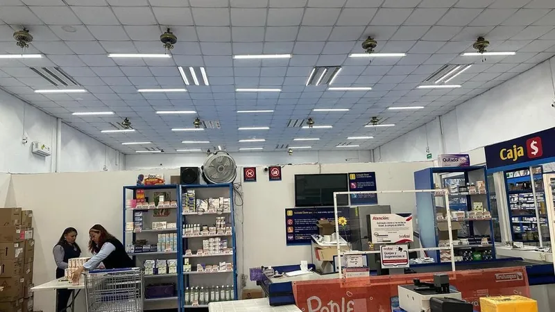 Foto 2